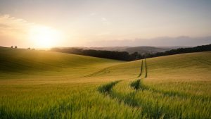 Photo d'un paysage de champs avec le soleil couchant. Elle sert d'illustration principale au Temps pour la Création 2024