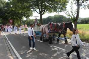 Photo du Tour de la Saint Barthélémy 2024 à Bousval. Le char est tiré par deux chevaux brabançons.