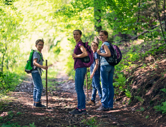 Photo d'une marche de couples et familles dans la forêt