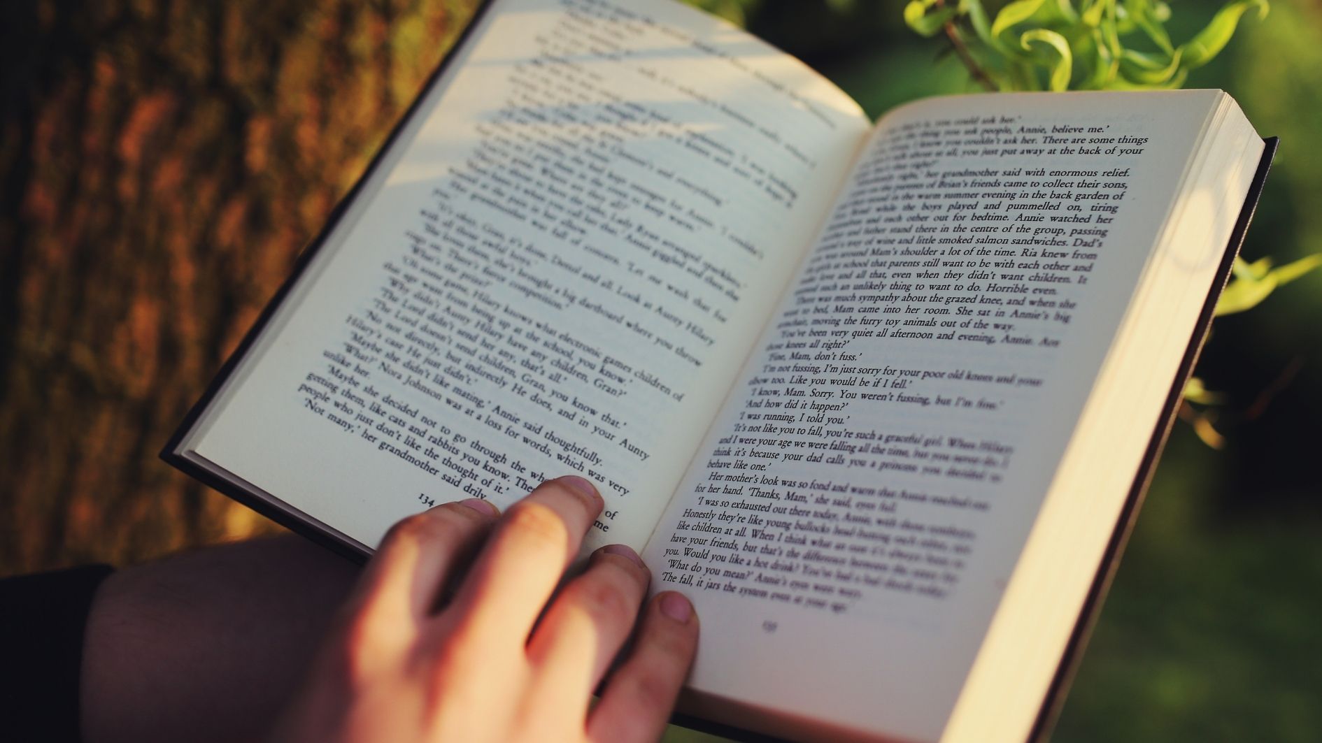 photo d'un livre ouvert en train d'être lu