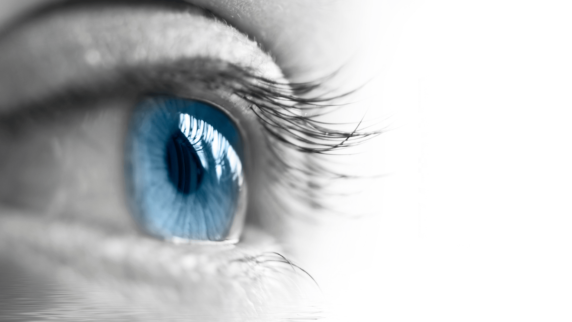 Photo d'un oeil bleu - annonce pour la soirée découverte du catéchuménat et de l'accompagnement des adultes vers la foi chrétienne.