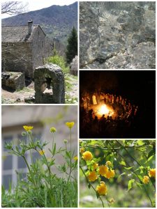 la viale photo de Thérèse Warrant