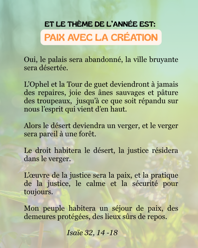 Thème de l'année pour le Temps pour la Création 2025