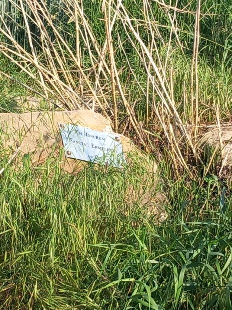 L'épine sainte Ermelinde entre Beauvechain et Meldert