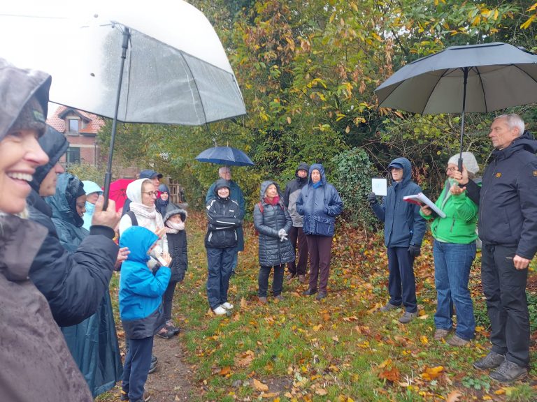 Photo d'un groupe de personnes sous des parapluies dans une forêt