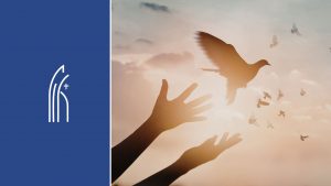 Bannière avec le logo de la conférence des évêques de Belgique et une colombe pour la paix et le vivre-ensemble