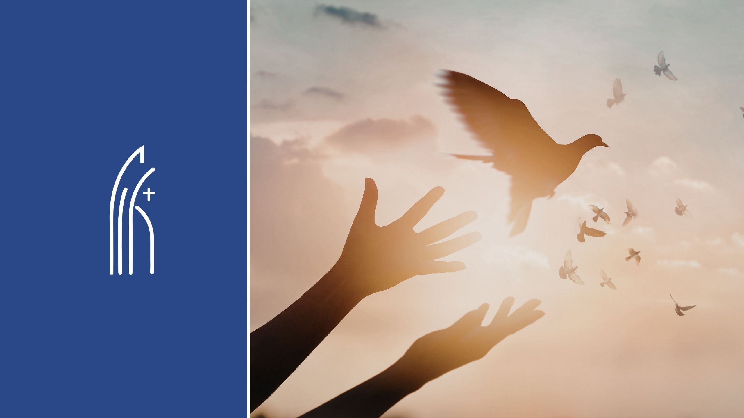 Bannière avec le logo de la conférence des évêques de Belgique et une colombe pour la paix et le vivre-ensemble