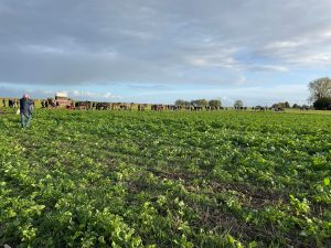 Photo du Toiur sainte Gertrude 2025 où l'on voit une foule de pèlerins suivre le char des reliques de Sainte Gertrude à travers champs.